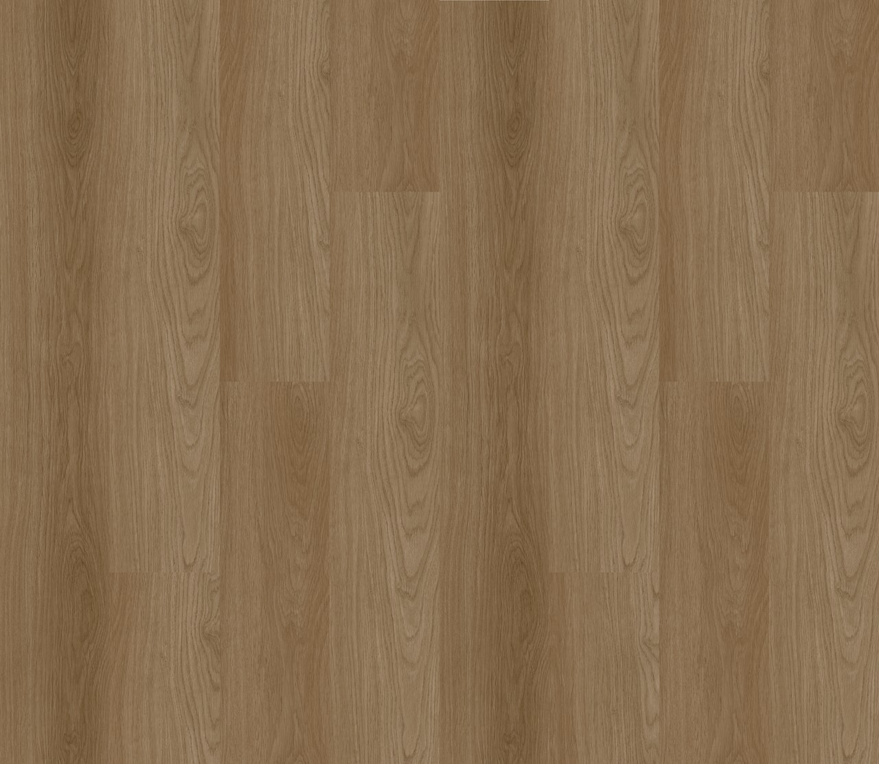 cq5dam web (1)